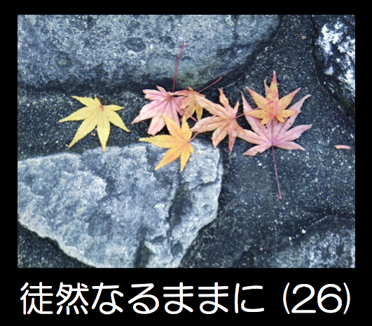 スクリーンショット 2013-11-06 12.10.05