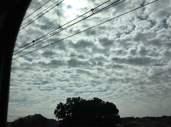 %e9%ab%98%e5%b4%8e%e8%bf%91%e3%81%8f%e3%81%ae%e3%81%86%e3%82%8d%e3%81%93%e9%9b%b2